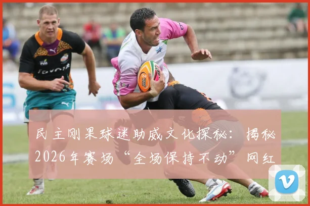 民主刚果球迷助威文化探秘：揭秘2026年赛场“全场保持不动”网红加油方式